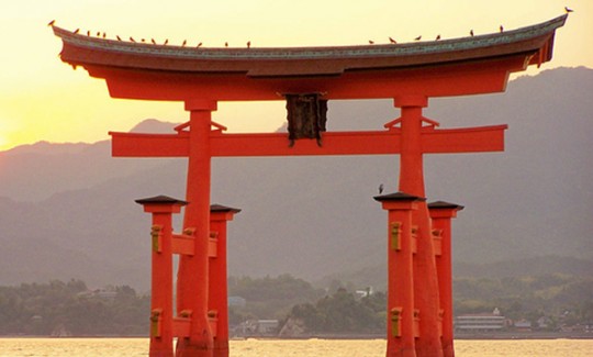 Cổng Torii - Lối vào thế giới Thần Linh xuất hiện khắp nước Nhật